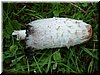 DSCF0009.JPG
