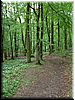 DSCF0019.JPG