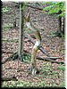 DSCF0020.JPG