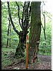 DSCF0023.JPG