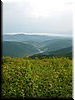 DSCF0031.JPG