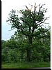 DSCF0037.JPG