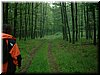 DSCF0042.JPG