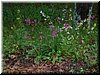 DSCF0043.JPG