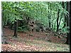 DSCF0052.JPG