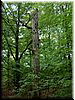DSCF0054.JPG