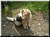 DSCF0057.JPG