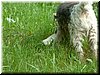 DSCF0060.JPG