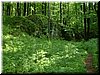 DSCF0070.JPG