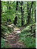 DSCF0071.JPG