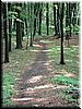 DSCF0072.JPG