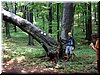 DSCF0075.JPG