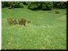 DSCF0100.JPG