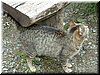 DSCF0106.JPG