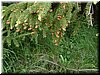 DSCF0118.JPG
