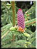DSCF0119.JPG