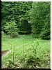 DSCF0121.JPG