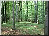DSCF0126.JPG