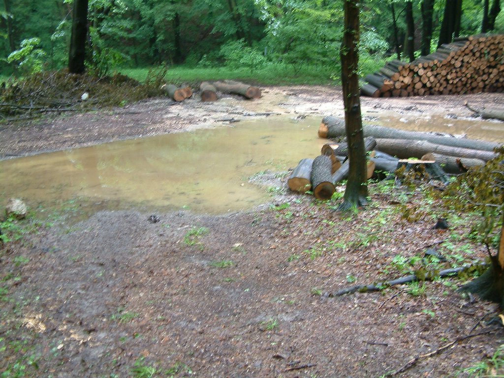 DSCF0187.JPG