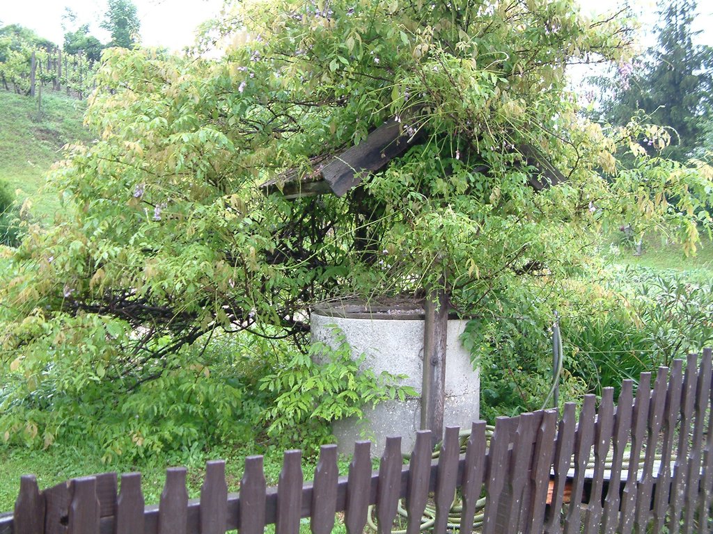 DSCF0195.JPG