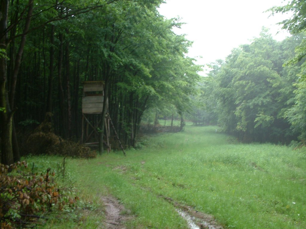 DSCF0213.jpg