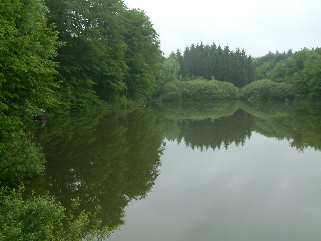 DSCF0214.JPG