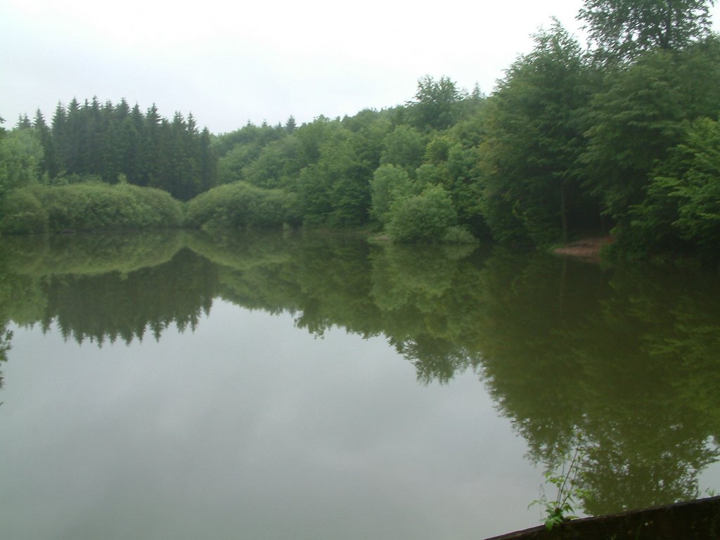 DSCF0215.JPG