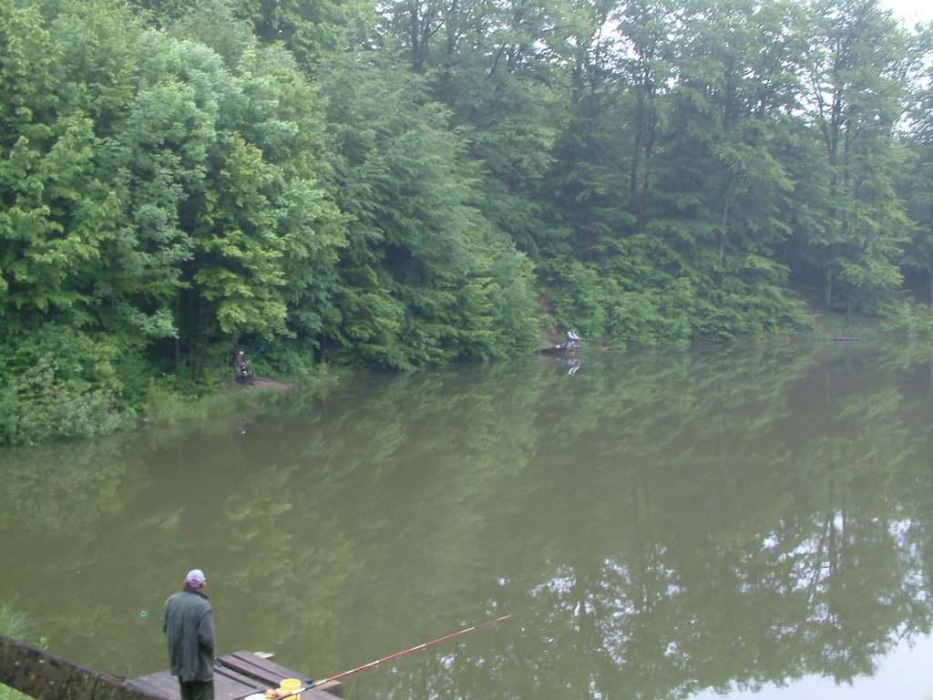 DSCF0216.JPG