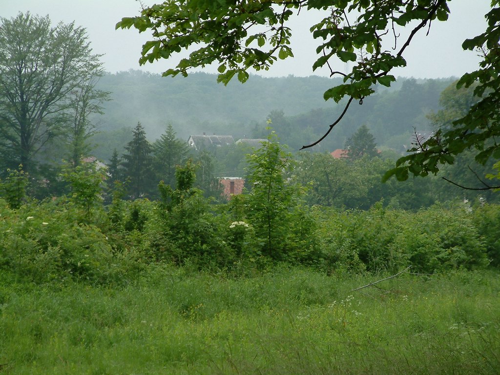 DSCF0220.JPG