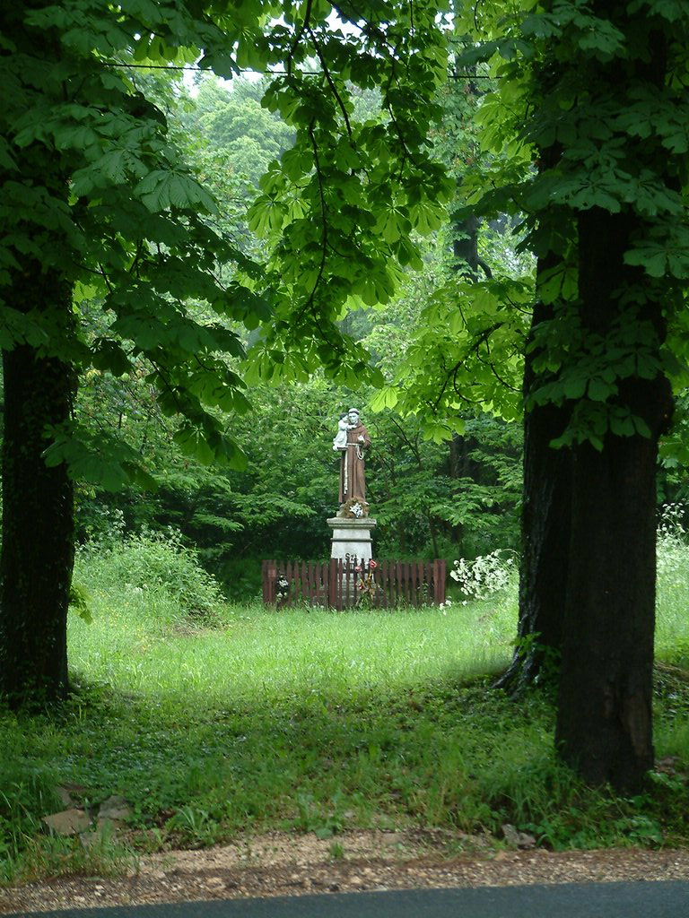 DSCF0221.JPG