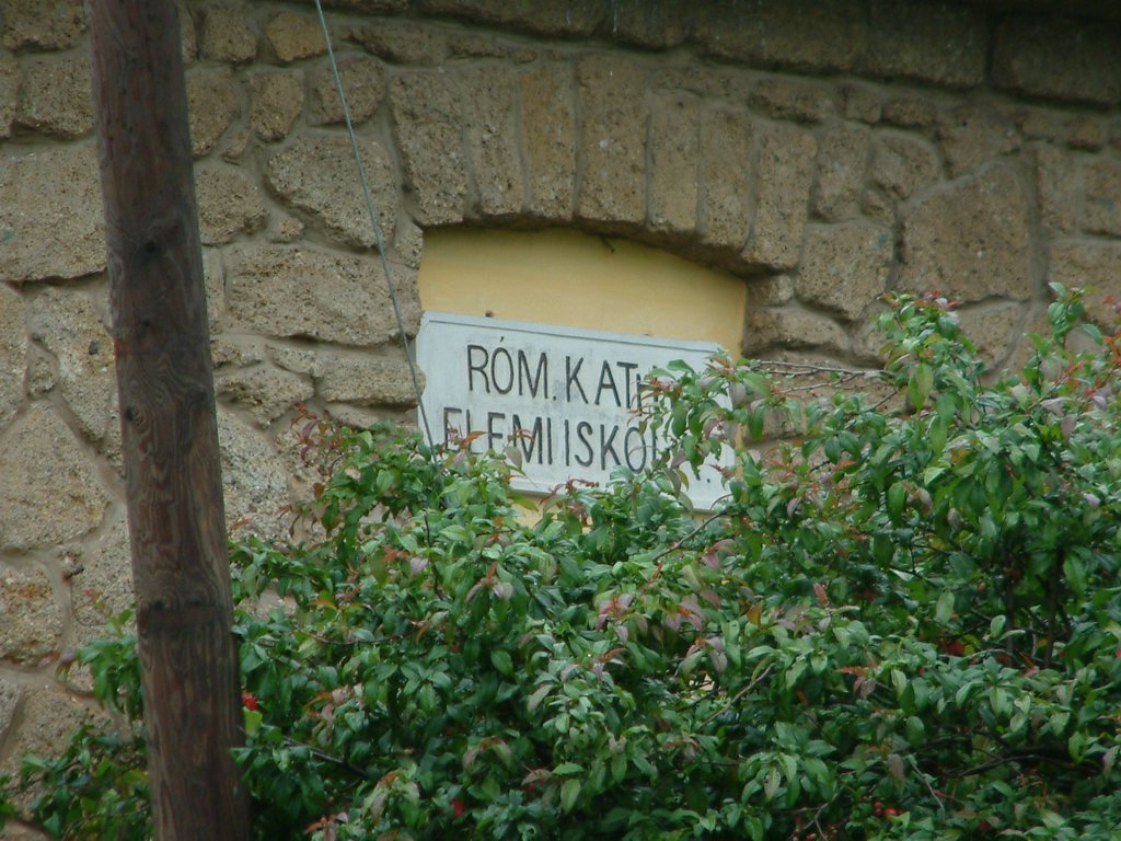 DSCF0225.JPG