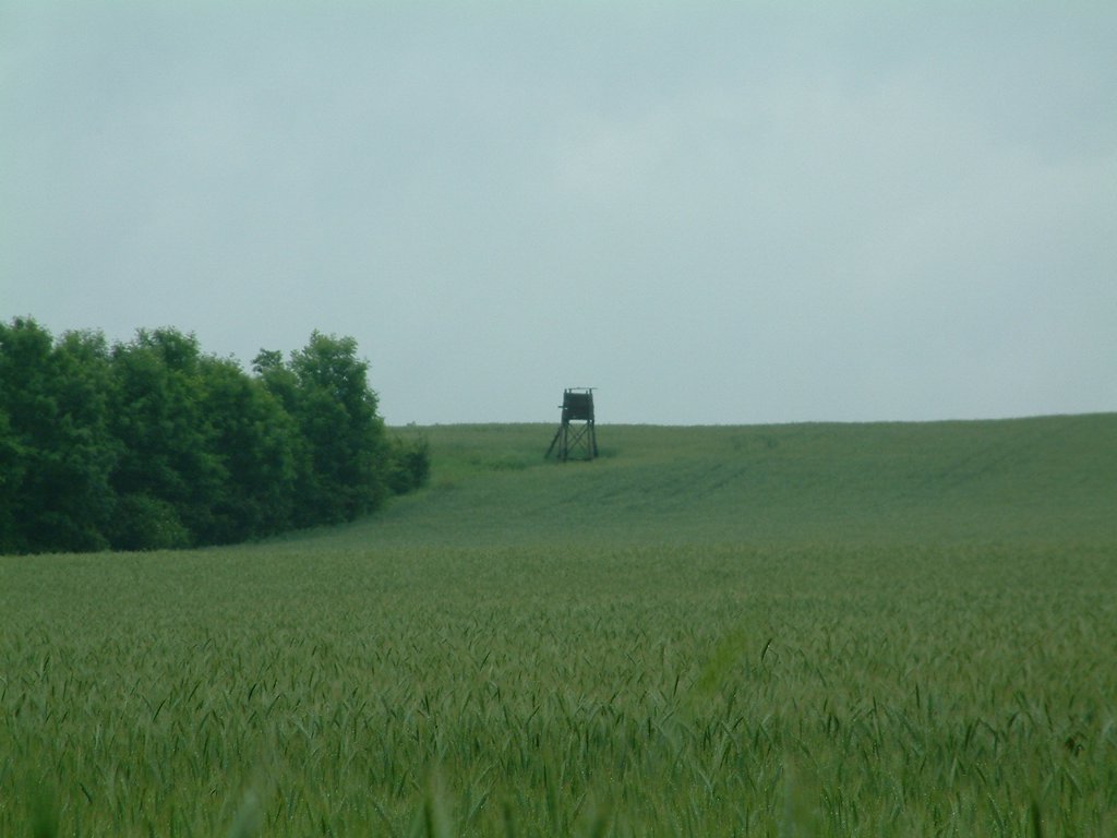 DSCF0233.JPG