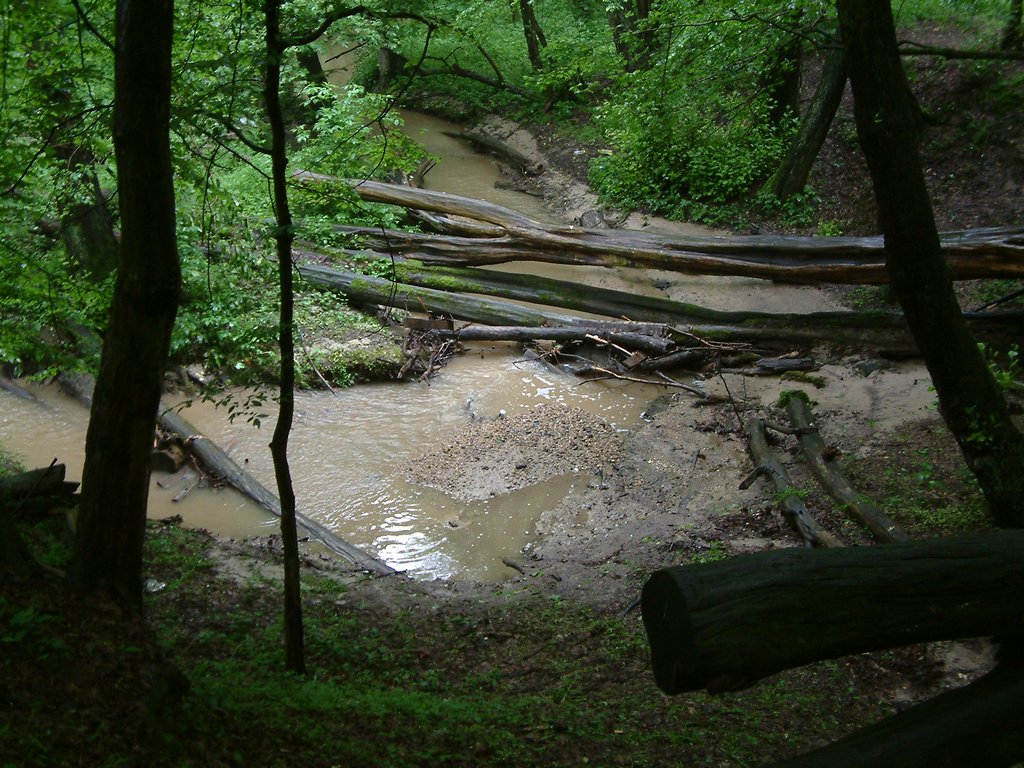 DSCF0235.JPG