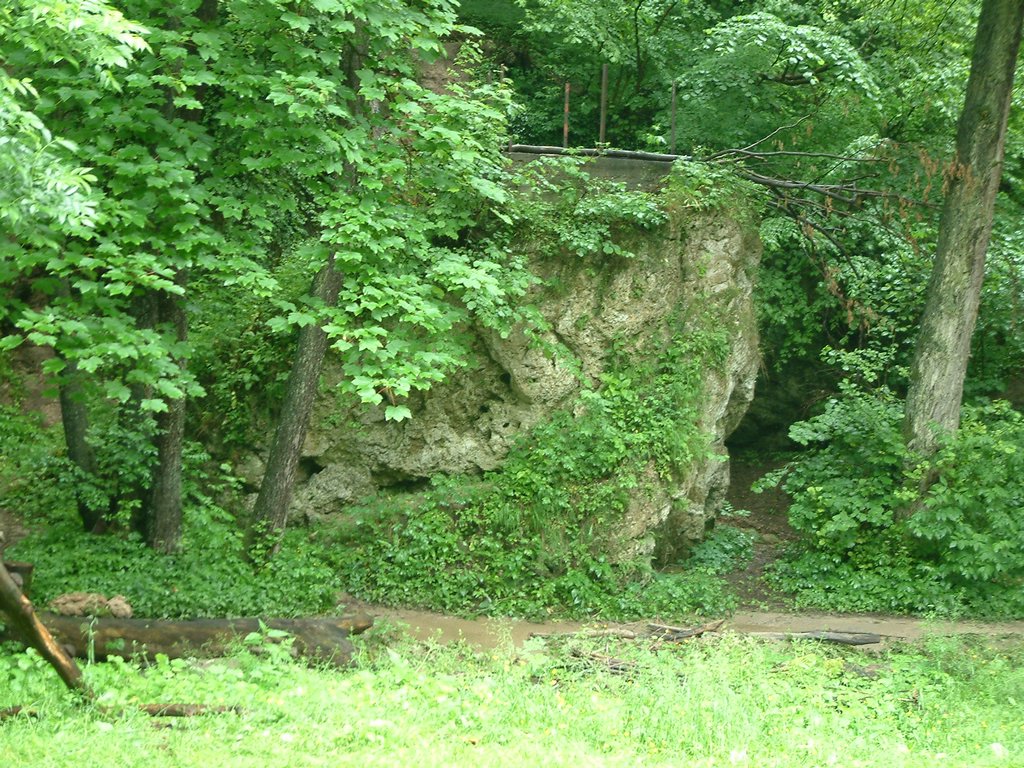 DSCF0238.JPG