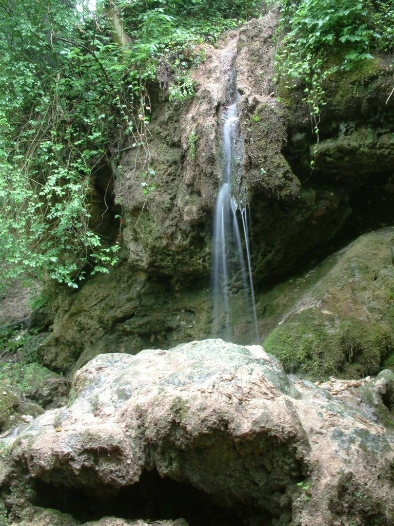DSCF0241.JPG