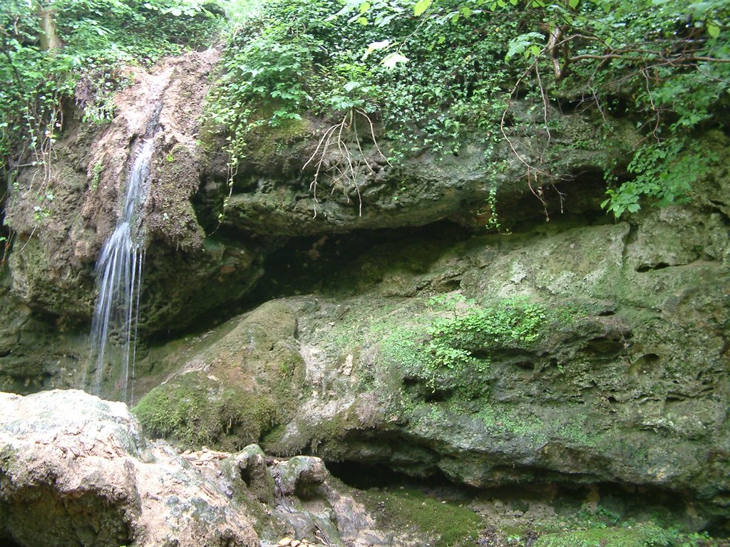DSCF0244.JPG