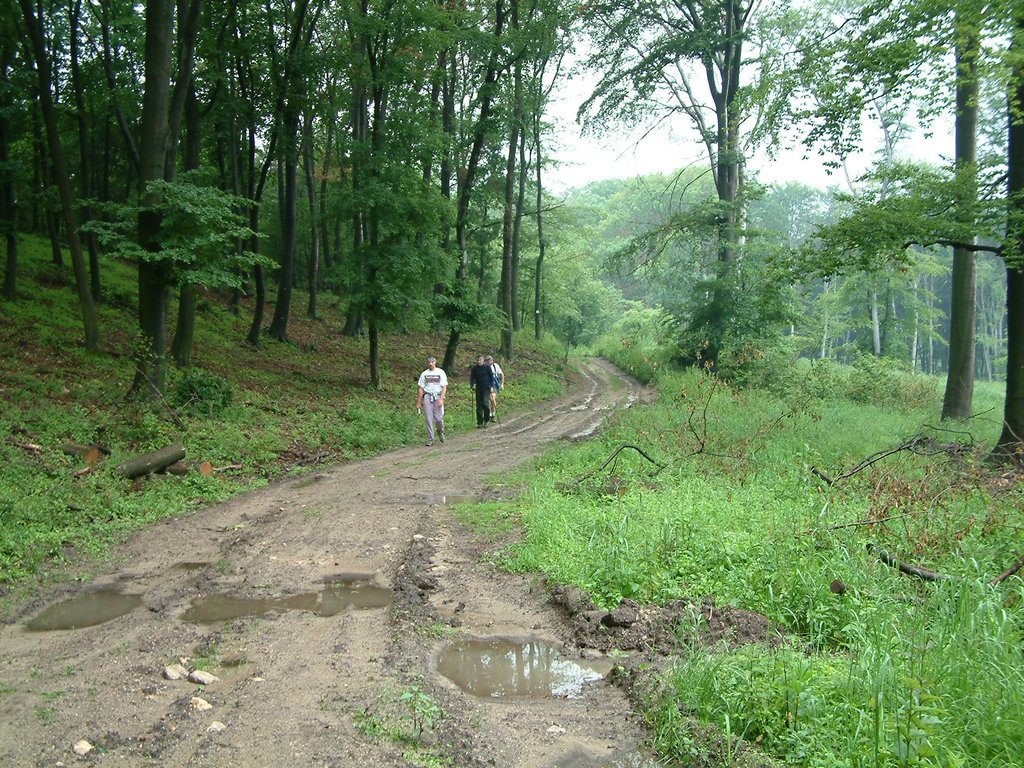 DSCF0249.JPG
