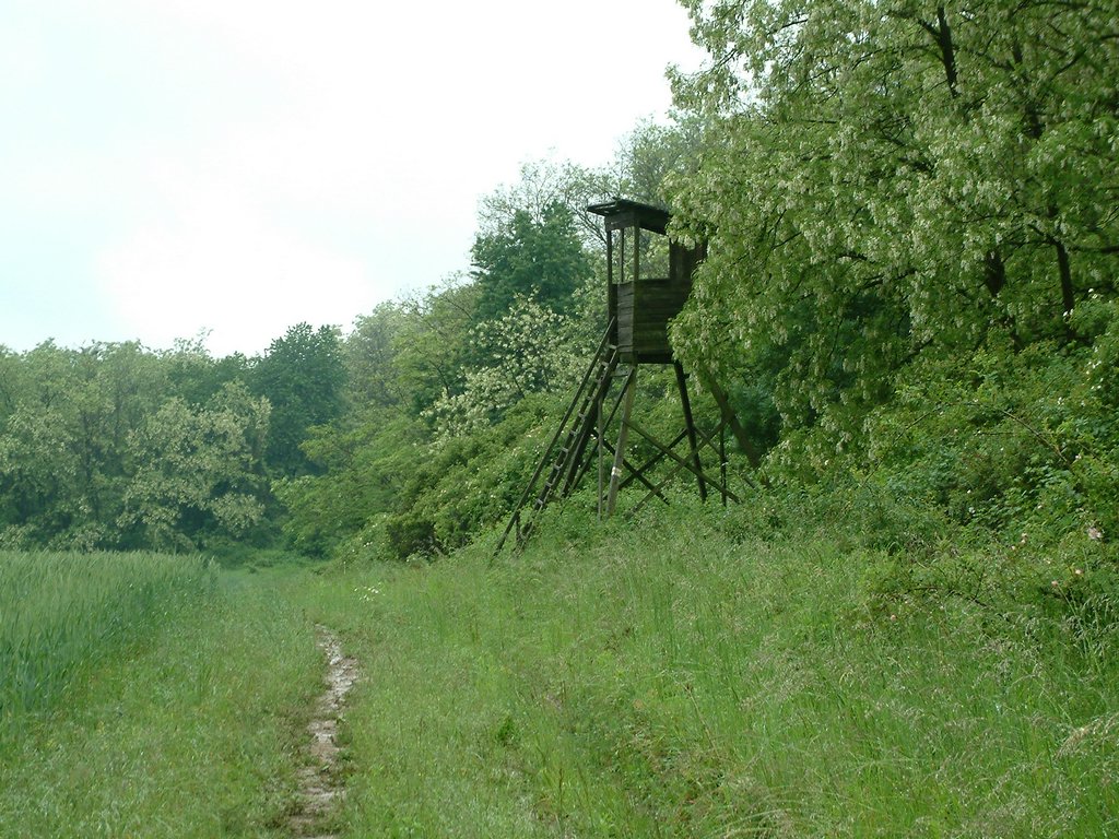DSCF0250.JPG