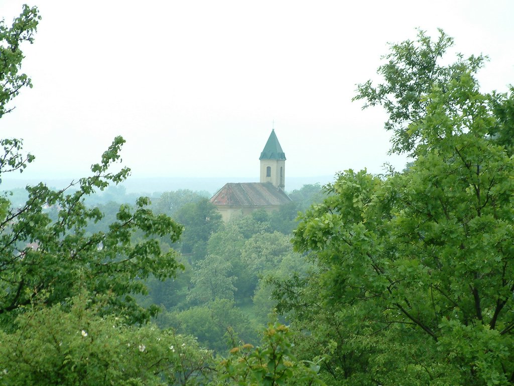 DSCF0252.JPG