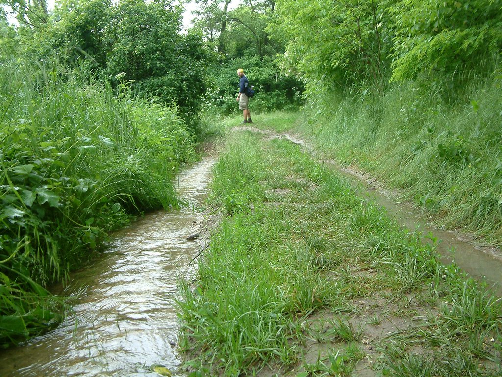DSCF0253.JPG