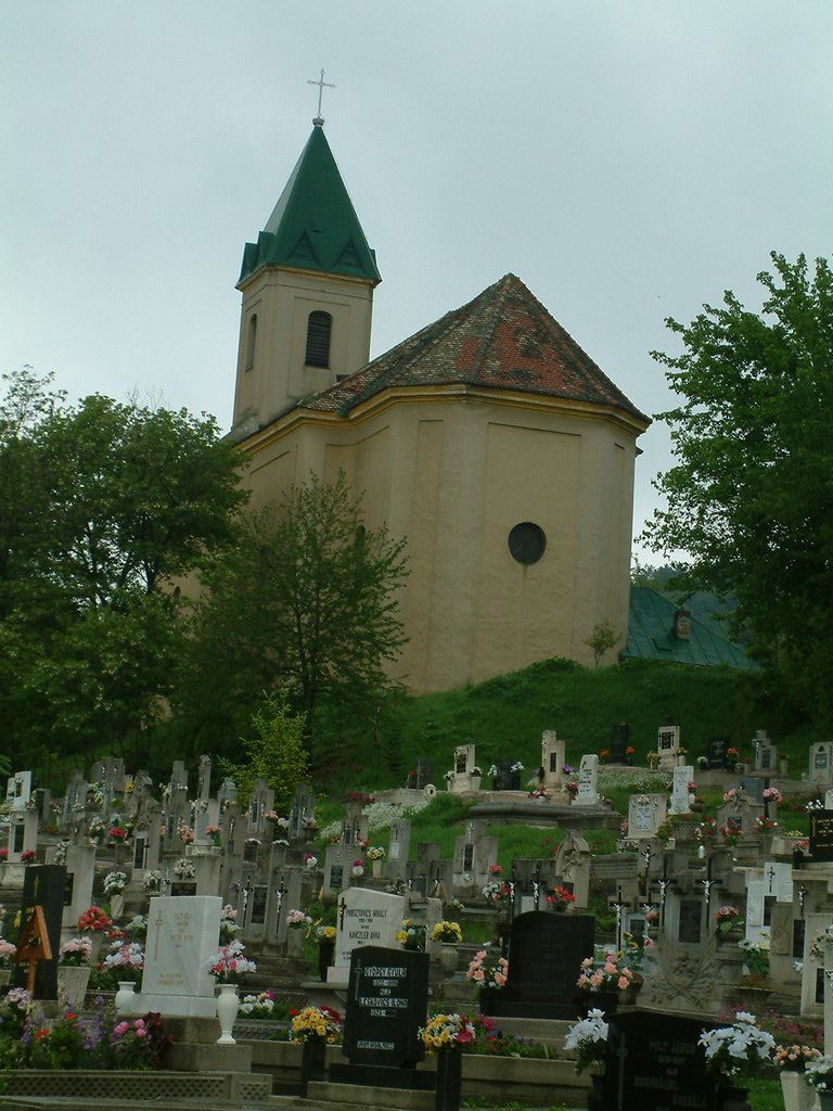 DSCF0256.JPG