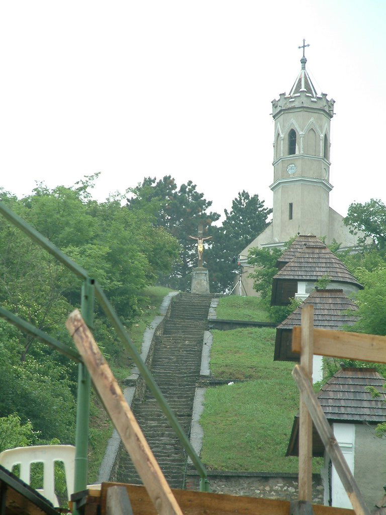 DSCF0259.JPG