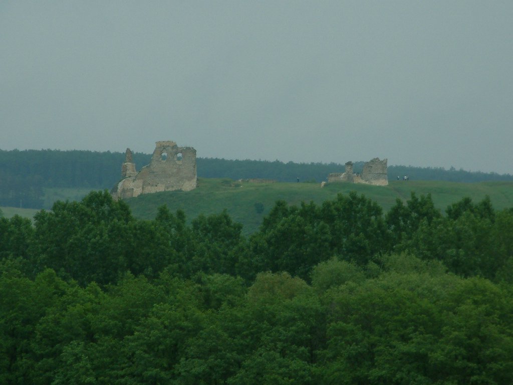 DSCF0266.JPG