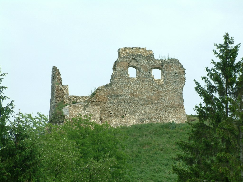 DSCF0279.JPG