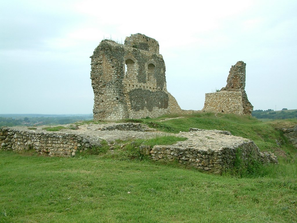 DSCF0282.JPG