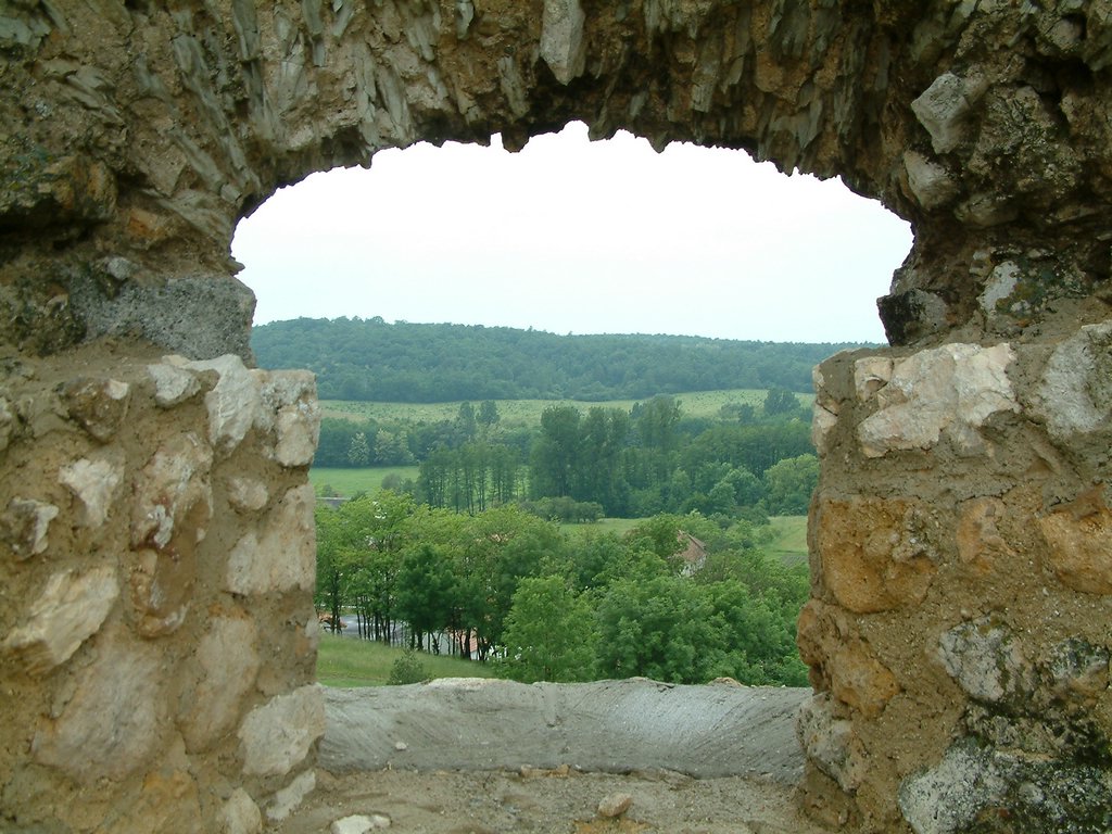 DSCF0285.JPG