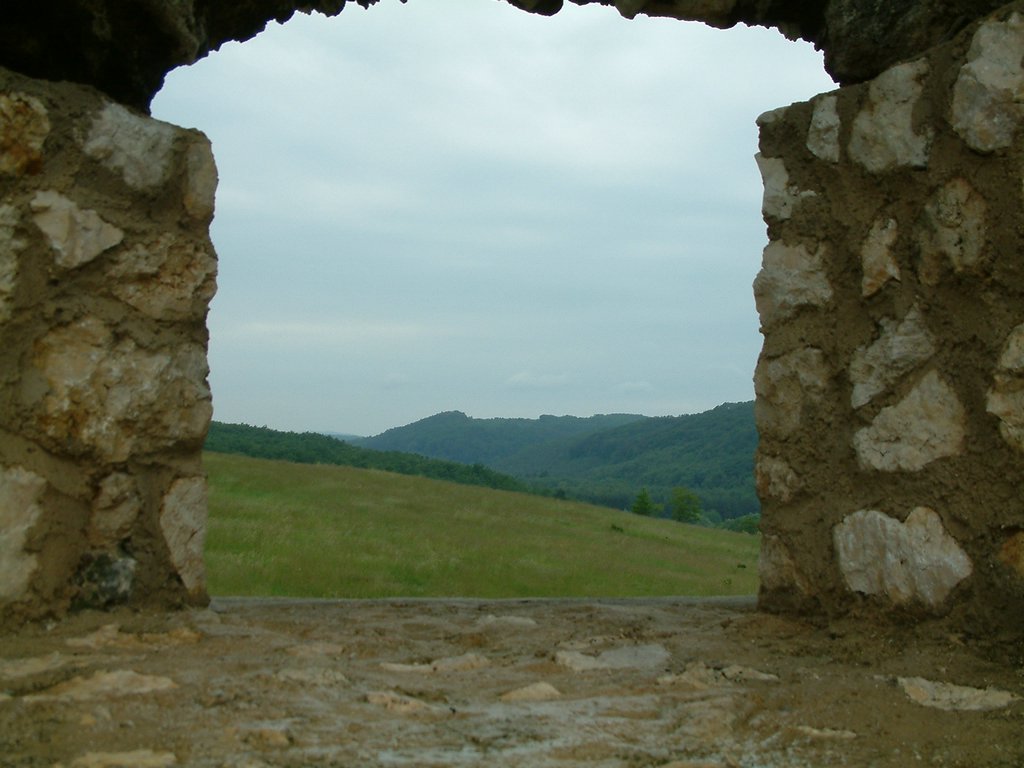 DSCF0286.JPG