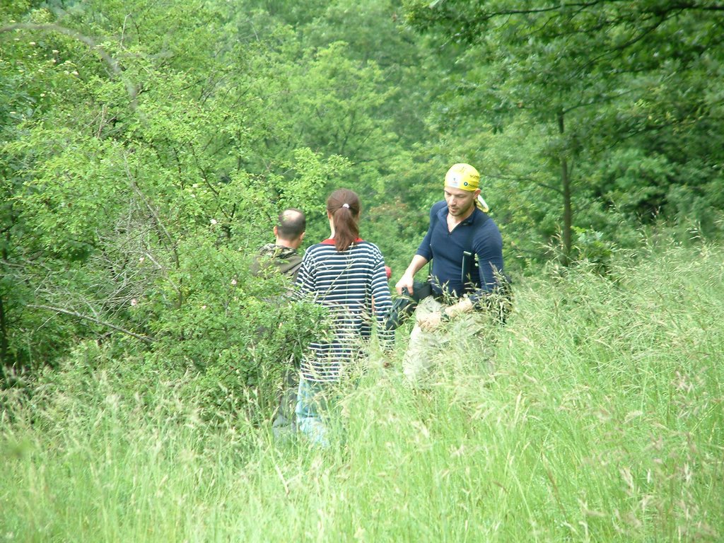 DSCF0287.JPG