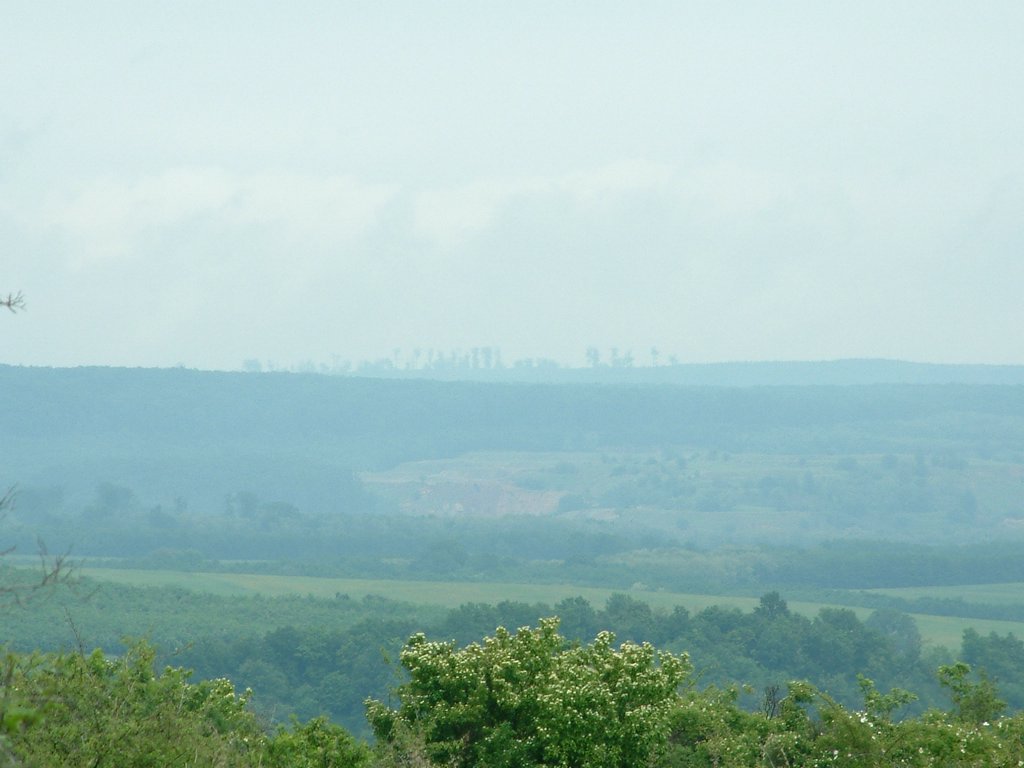 DSCF0288.JPG