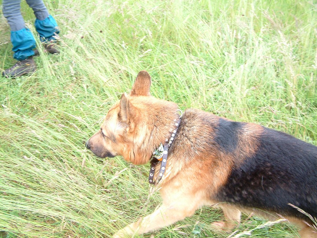 DSCF0290.JPG